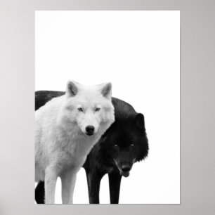 Loups Noir Blanc  Cabane Rustique Photo Affiche