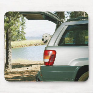 Lourensford, Somerset West, Südafrika Mousepad