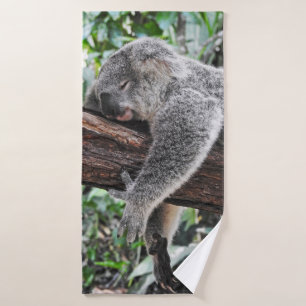 L'OURS DE KOALA DORT SUR L'ARBRE