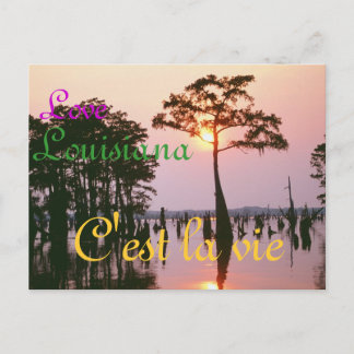 Lousiana/Atchafalaya Becken Postkarte