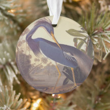 Lousiana Heron en gris, vert et bleu par Audubon