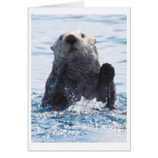 loutre de mer