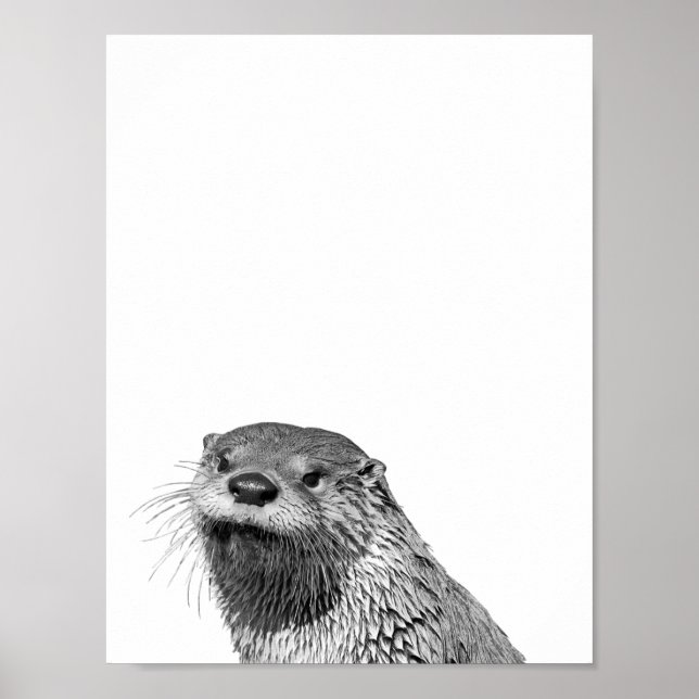 Loutre Noir Blanc Affiche Photo de la Cabane de la (Devant)