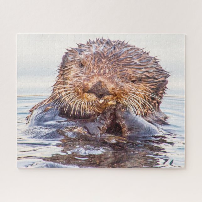 Loutres de mer de nos mers Puzzle (Horizontal)