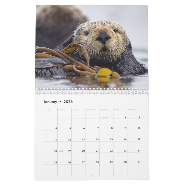 Loutres de mer et calendrier mural des joints 2015 (Jan 2026)