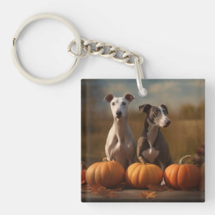 Louveteau Greyhound Délice d'Automne Citrouille