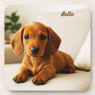 Lovable Dackel Personalisiert Untersetzer Set