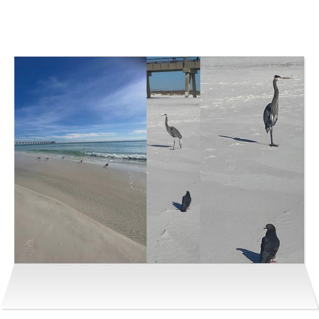 Love Beach (Intérieur Horizontal (Haut))