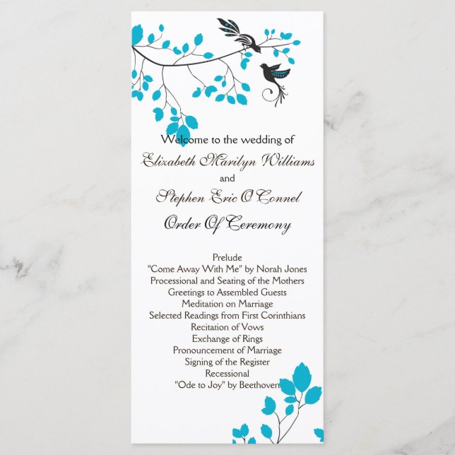 Love Birds Blue Programm (Vorderseite)