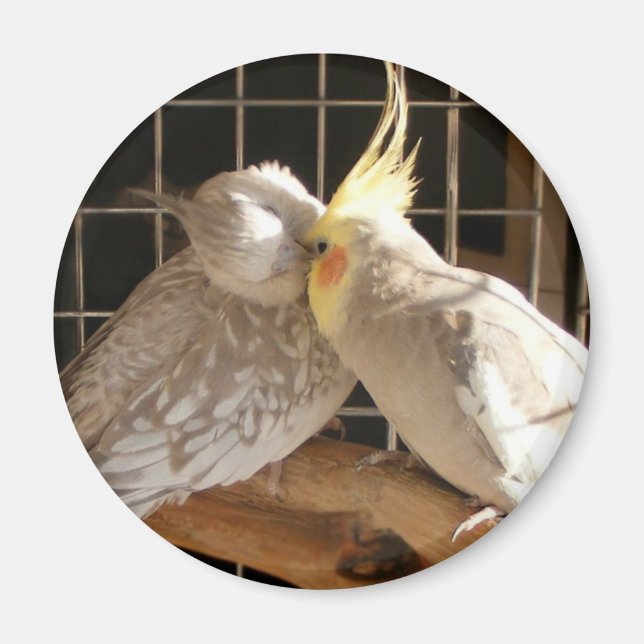 Love Birds Magnet (Vorne)