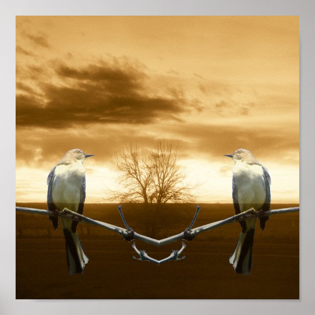 Love Birds_Poster Poster (Vorne)