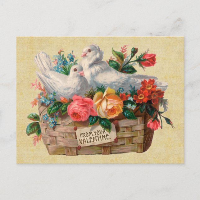 Love Birds Vintag Postcard Postkarte (Vorderseite)