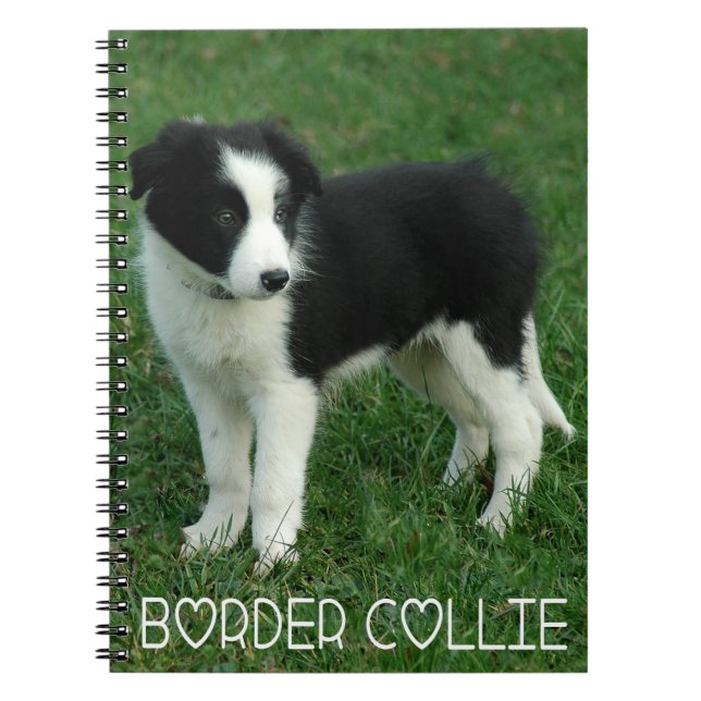 Love Black & White Border Collie Puppy Dog Journal (Devant)