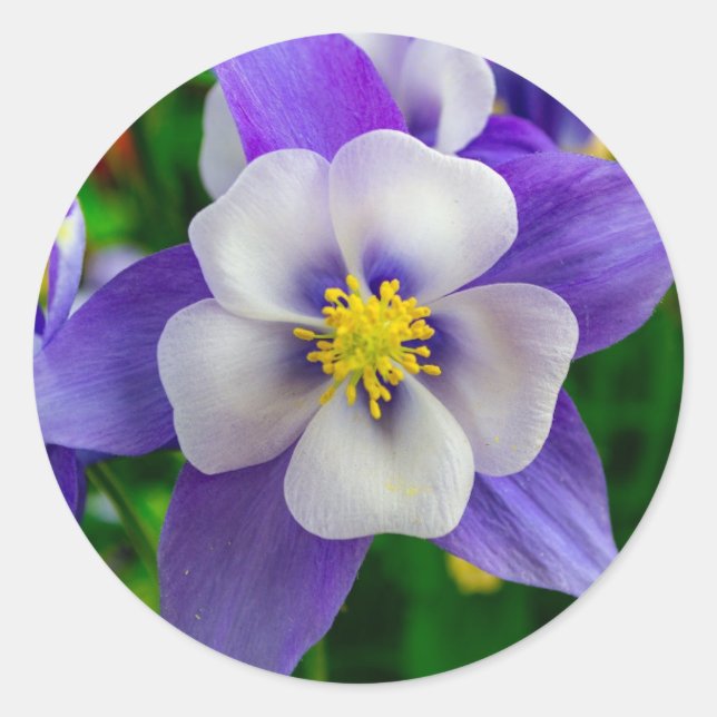 Love Blume Round Sticker (Vorderseite)