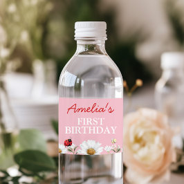 Love Bug Ladybug Daisy Floral Birthday Party