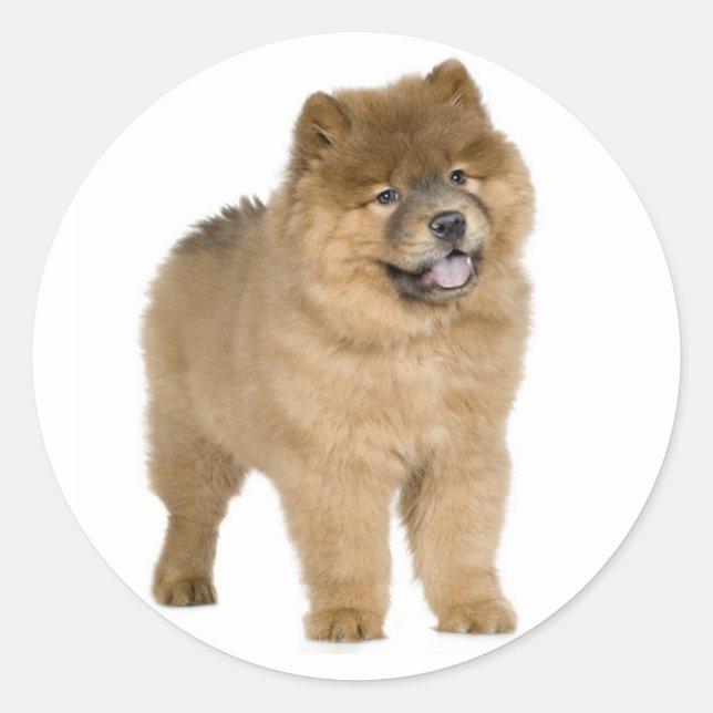 Love Chow Chow Chien Chien Stickers de voeux (Devant)
