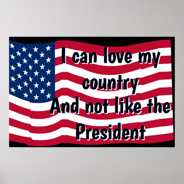 Love Country Not Presideent Poster (Vorne)