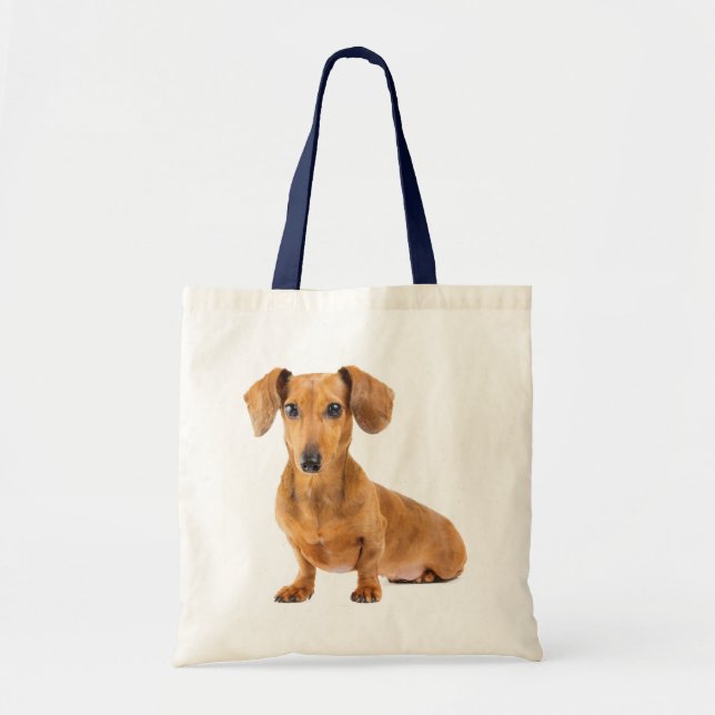 Love Dachshund Puppy Dog Canvas Sac fourre-tout (Devant)