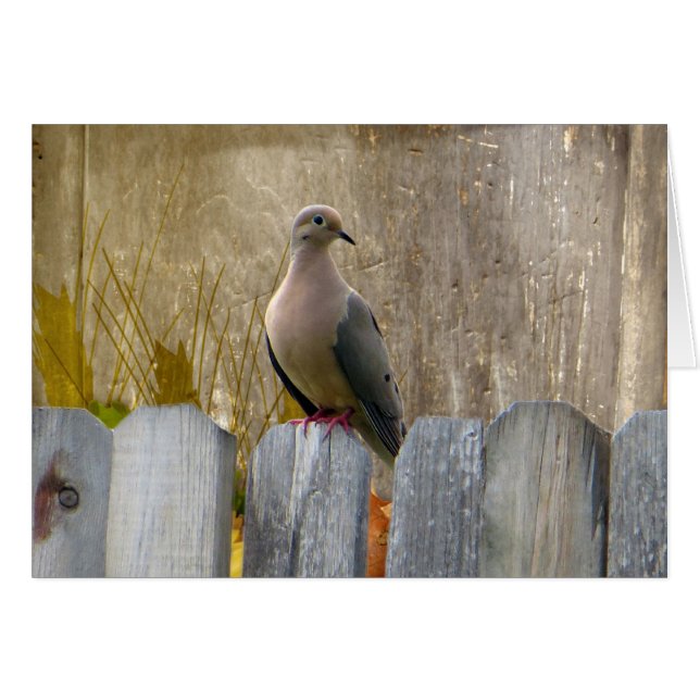 Love Dove personnalisable (Devant horizontal)