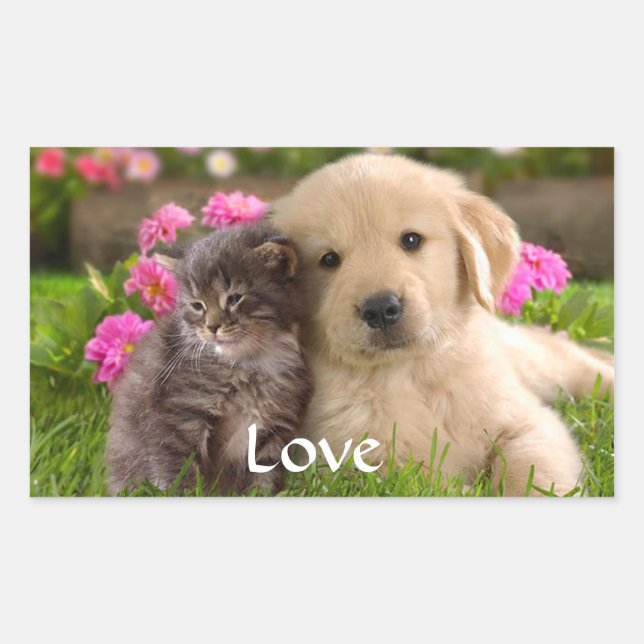 Love Golden Retriever Puppy et Kitten Stickers (Devant)