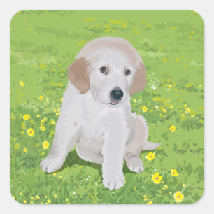 Love Golden Retriever Stickers Chien Chien Chien C