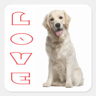 Love Golden Retriever Stickers Chien Chien Chien C