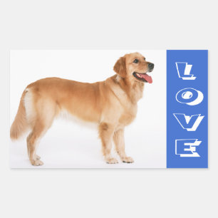 Love Golden Retriever Stickers Chien Chien Chien C