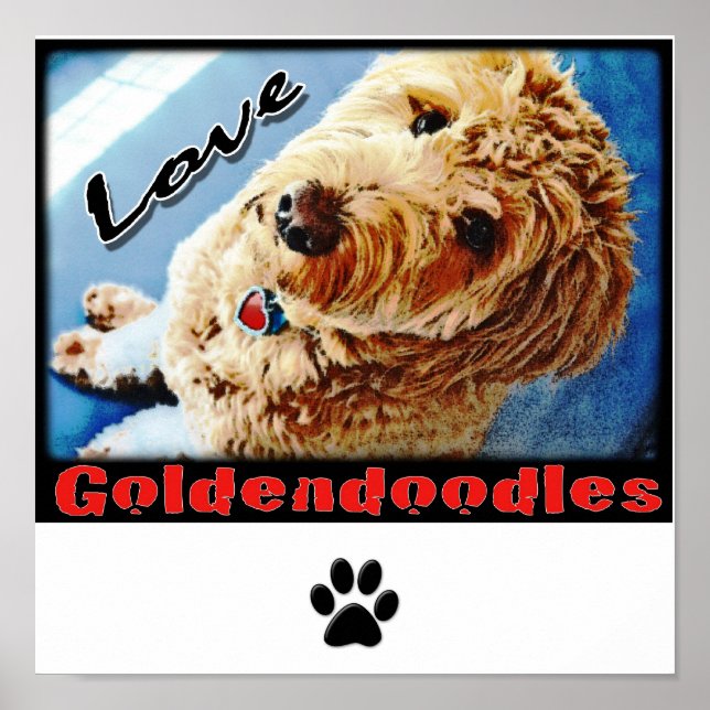 Love Goldendoodles Poster (Vorne)