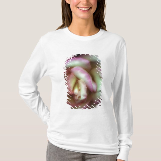 <Love is a Rose> durch Nathan Griffith T-Shirt (Vorderseite)