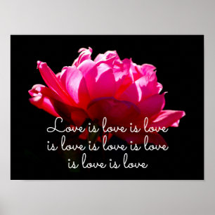 Love is Love Dramatic Rose Poster