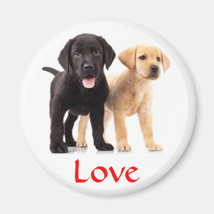 Love Labrador Retriever Puppies Frigo Magnet