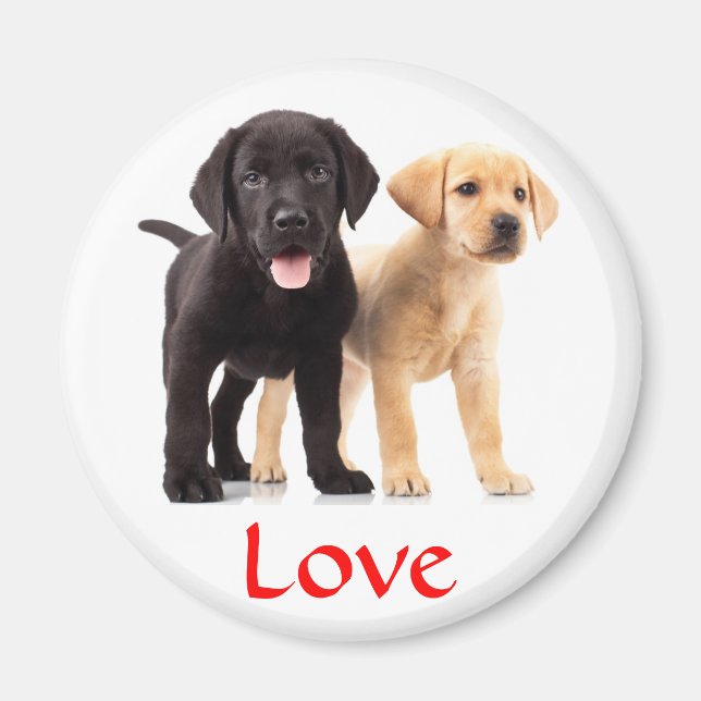 Love Labrador Retriever Puppies Frigo Magnet (Devant)