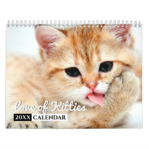 Love of Kitties 2022 Calendrier de mur photo