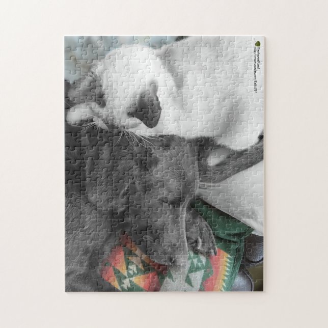 Love Siam Kitten Watches Labrador Schlaf (Vertikal)