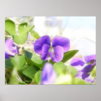 Love Spring Violet