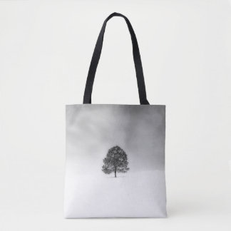 LOVE THE SIMPLICITY OF WINTER PHOTOGRAPHY THIS IS  TASCHE