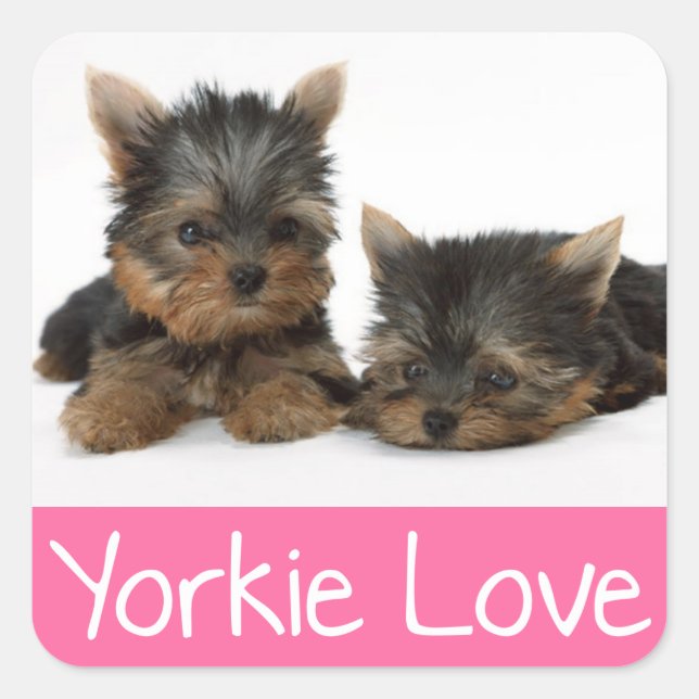 Love Yorkshire Terrier Chien Chien Chien Sticker / (Devant)