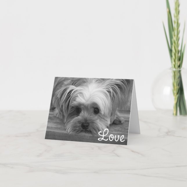 Love Yorkshire Terrier Chien Chien Puppy Carte bla (Devant)