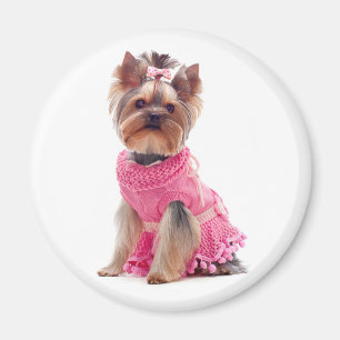 Love Yorkshire Terrier Puppy Dog Magnet