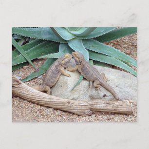 Love you_Reptiles Postcard Postkarte