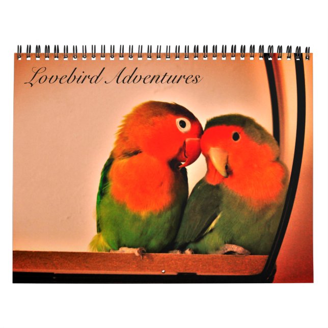 Lovebird Adventures Kalender (Titelbild)