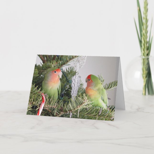Lovebird Christmas Card Feiertagskarte (Vorderseite)