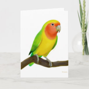 Lovebird Grußkarte Karte