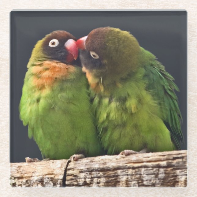 Lovebird Kiss Glass Untersetzer (Vorderseite)