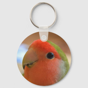 Lovebird-Schlüsselanhänger Schlüsselanhänger