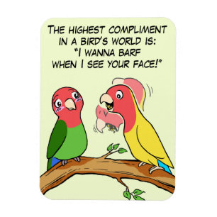 Lovebirdpapageien- und -vogelweise, die i-Liebe Magnet