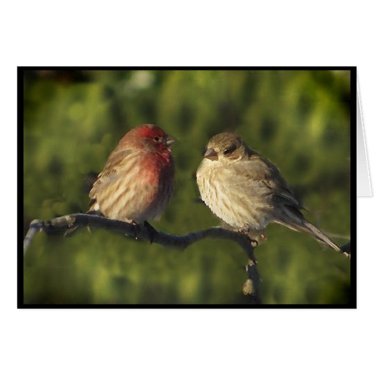 Lovebirds Karte