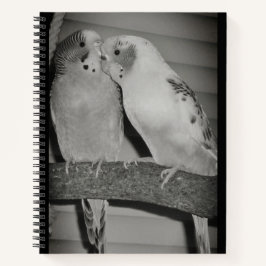Lovebirds Notizbuch