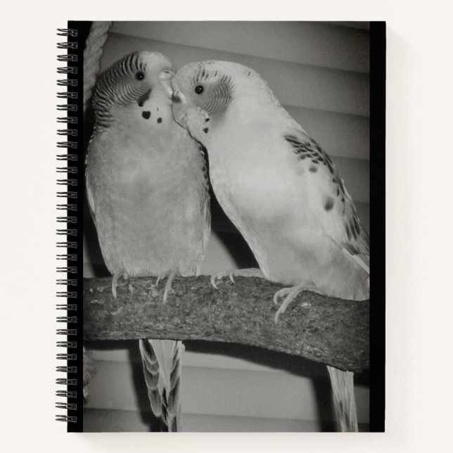 Lovebirds Notizbuch (Vorderseite)