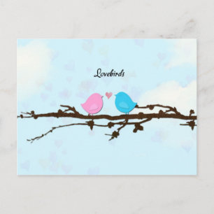 Lovebirds Postcard Postkarte